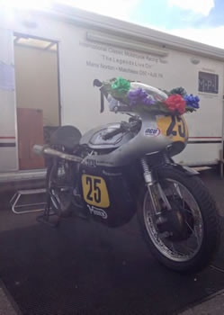 Molnar Manx
